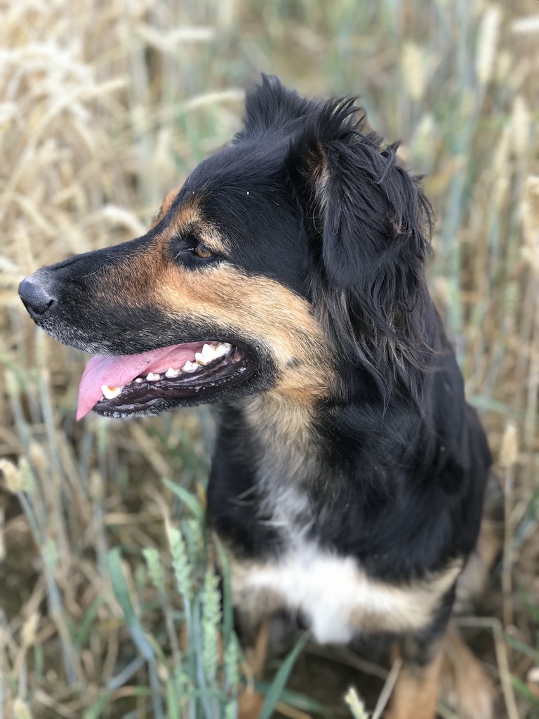 part of our working team and mcuh loved Bell